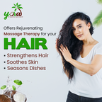 Extra Virgin Coconut Oil (Centrifuge Method)